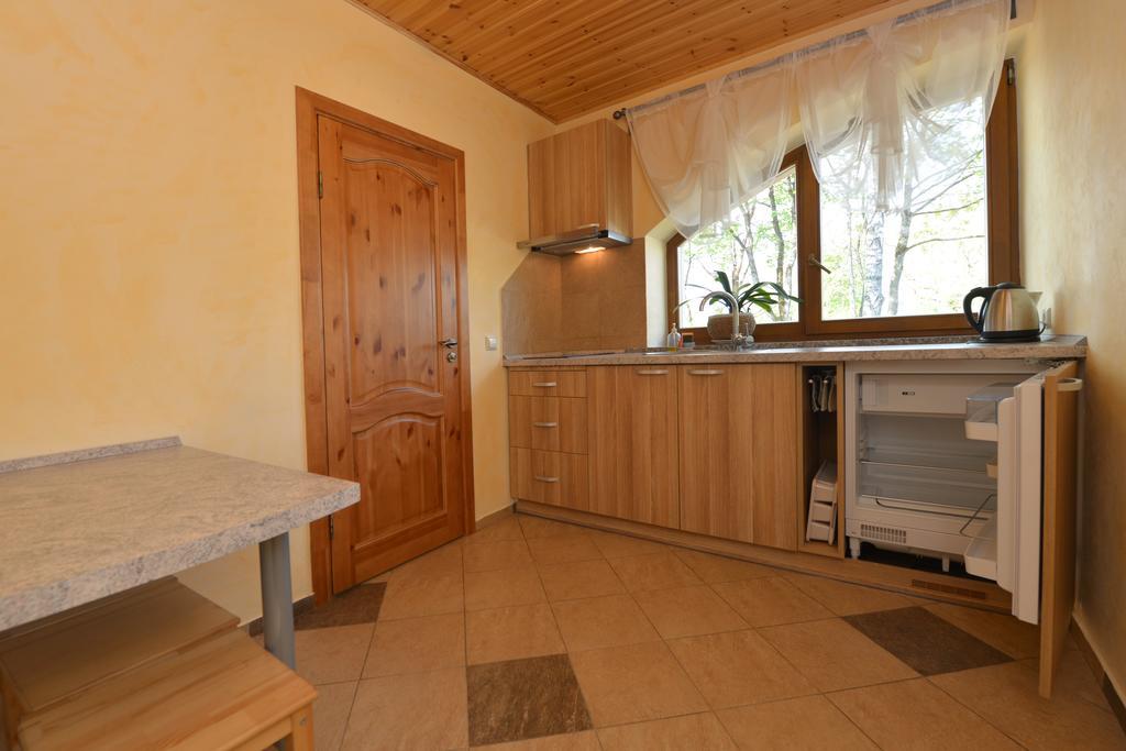 דרוסקינינקאי Zemyna Apartmentai מראה חיצוני תמונה